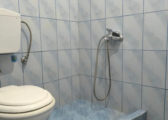 Vaya *